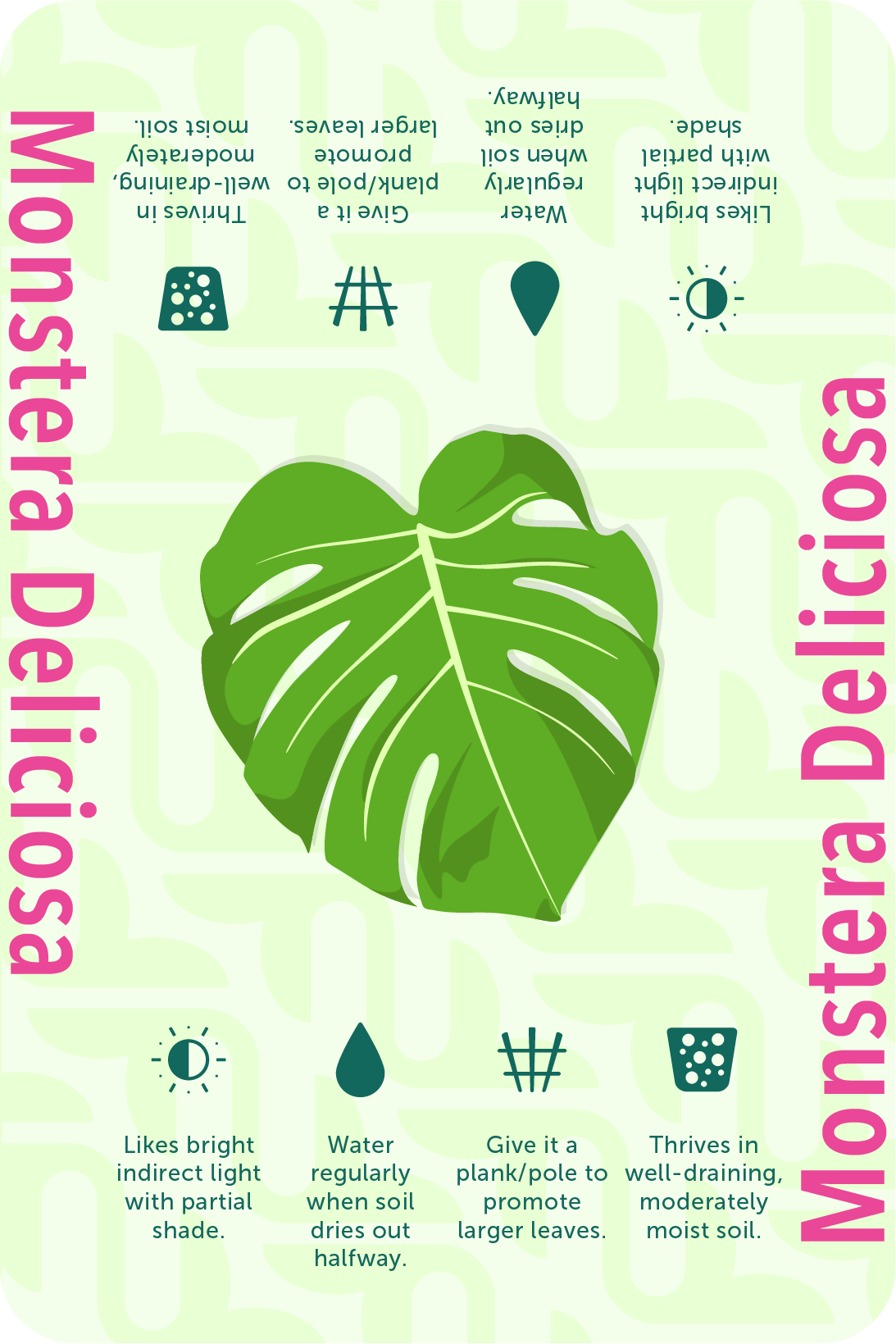 Card_Monstera@2x