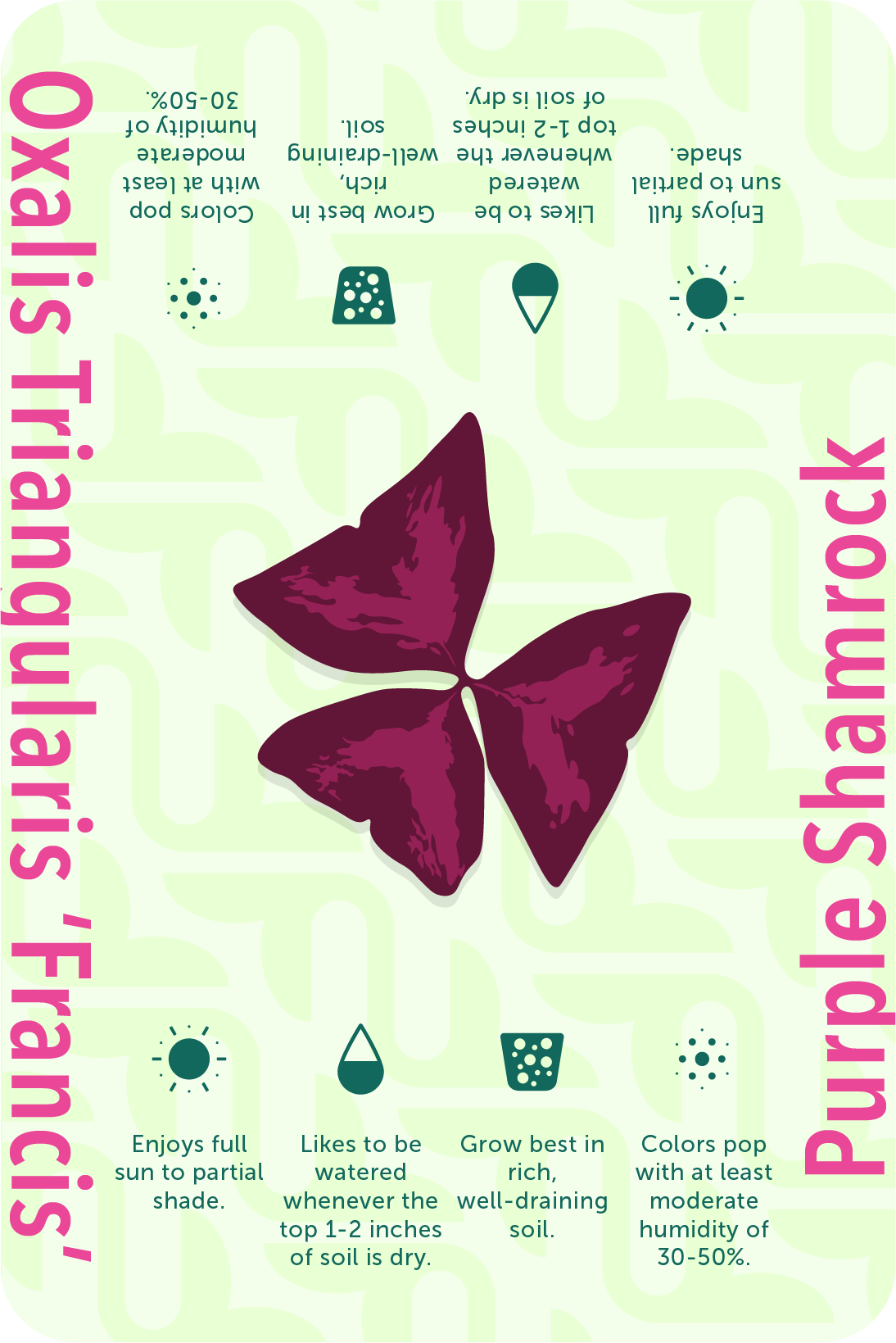 Card_Oxalis@2x
