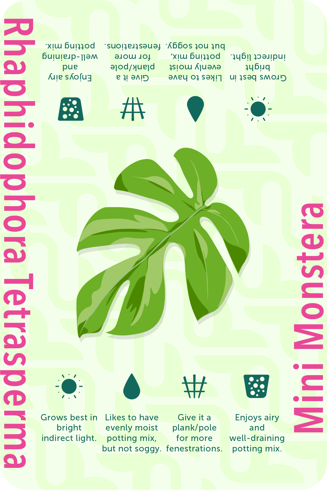 Card_RT@2x