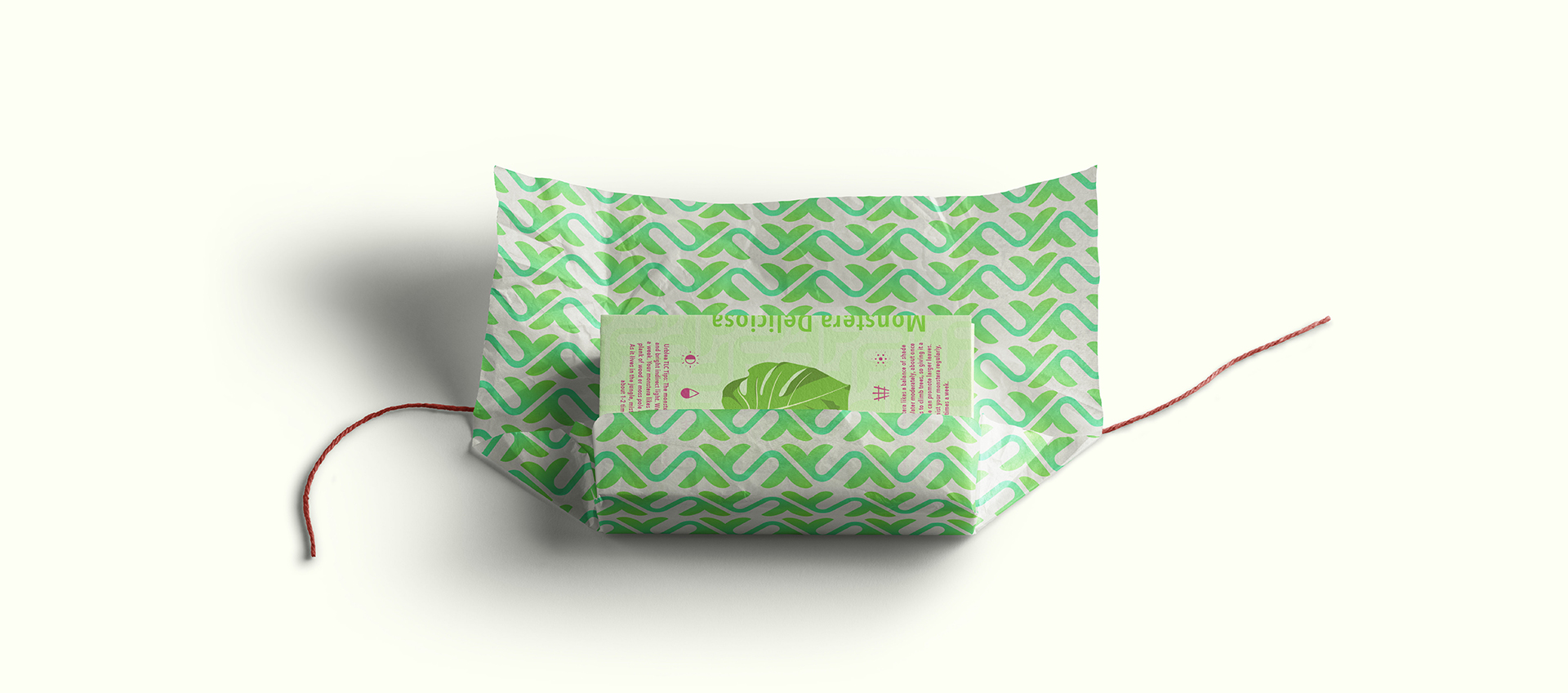 Tissue-and-Card_02