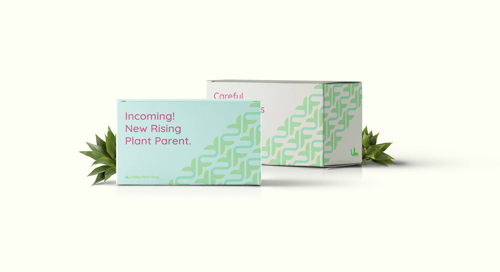 Packaging_02_01